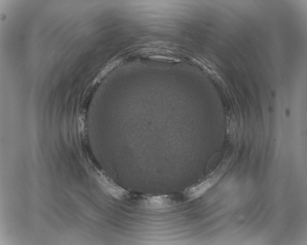 X0000067890382200604201315