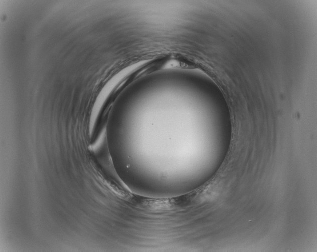 X0000067890384200604201315