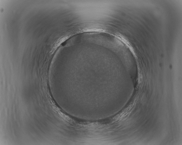 X0000067890385200604201315