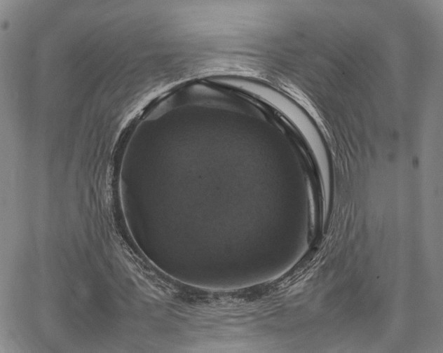 X0000067890387200604201315