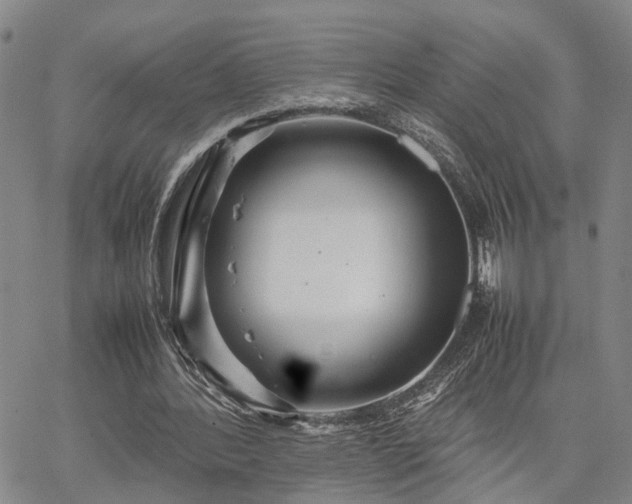 X0000067890388200604201314