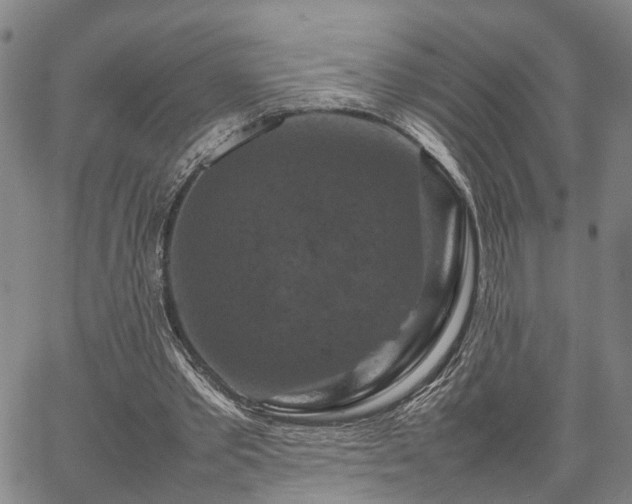 X0000067890389200604201314