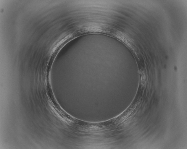 X0000067890390200604201314