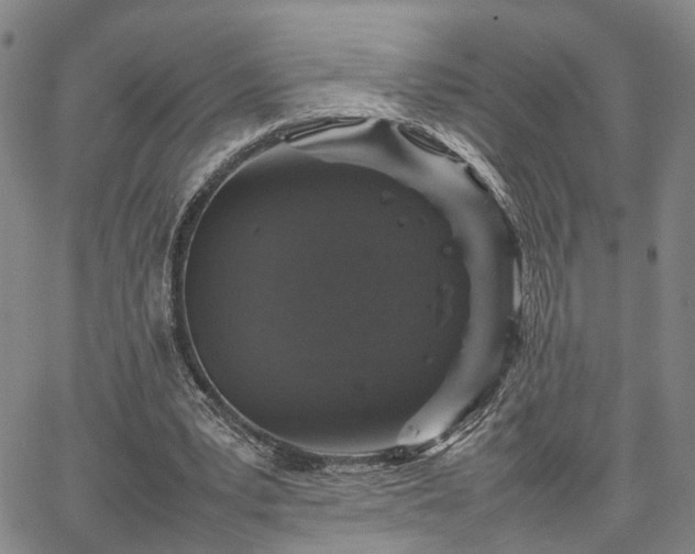 X0000067890391200604201314