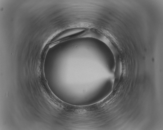 X0000067890392200604201314