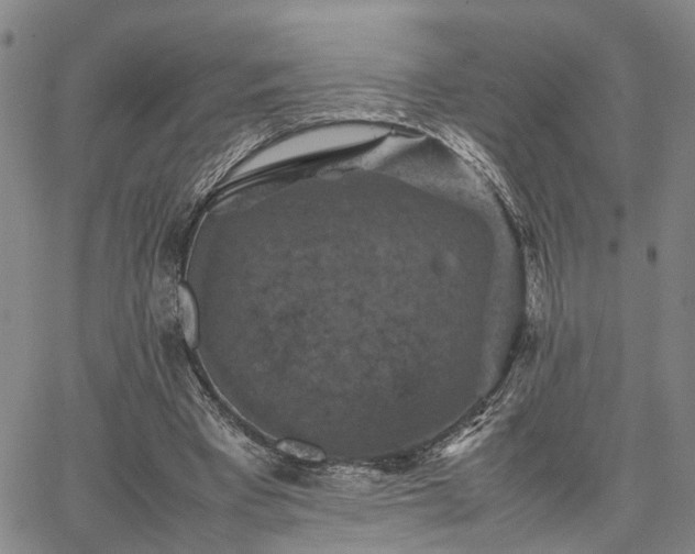 X0000067890393200604201314