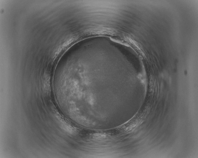 X0000067890394200604201314