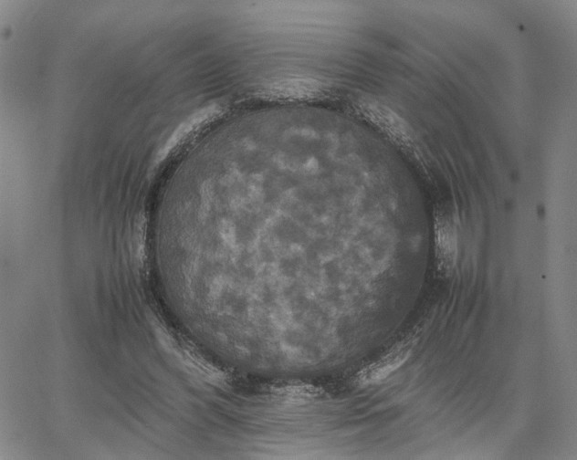 X0000067890396200604201314