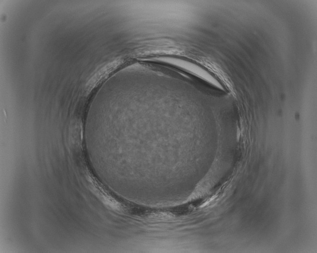 X0000067890397200604201314