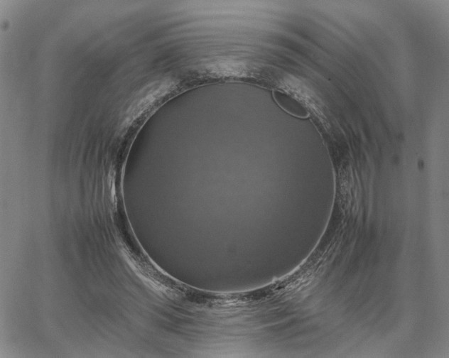 X0000067890398200604201314