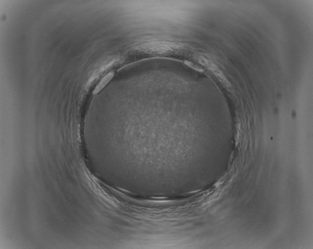 X0000067890399200604201314