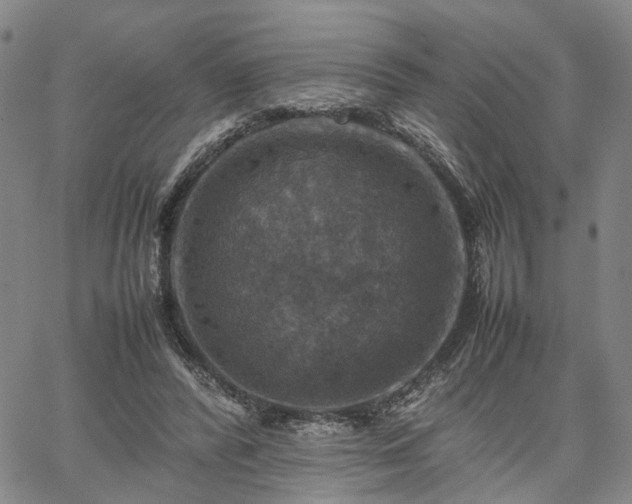 X0000067890400200604201314