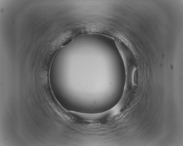 X0000067890401200604201314