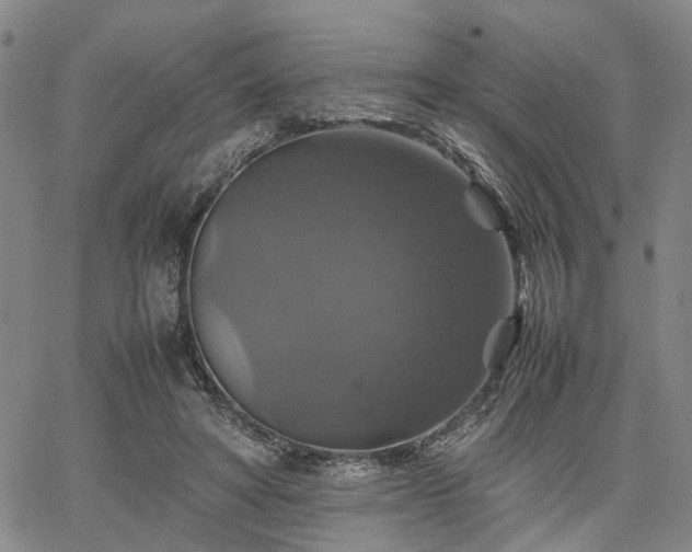 X0000067890402200604201314