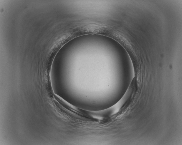 X0000067890403200604201314