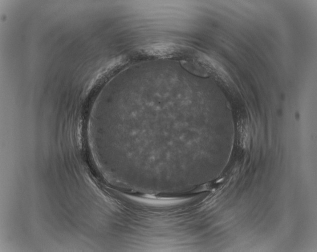 X0000067890404200604201314