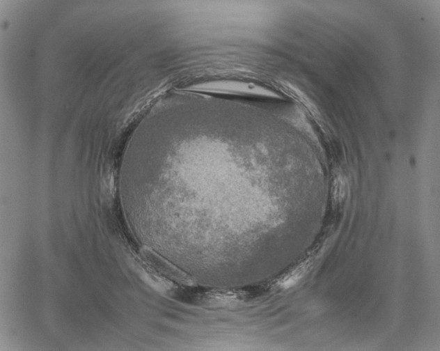 X0000067890405200604201314