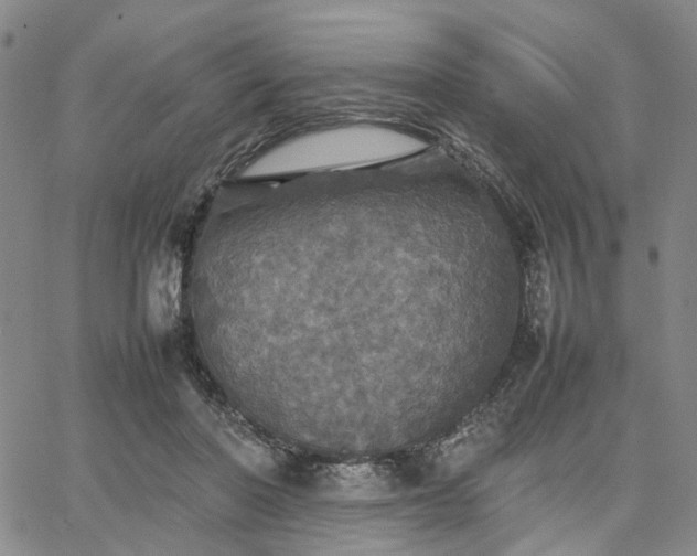 X0000067890406200604201314