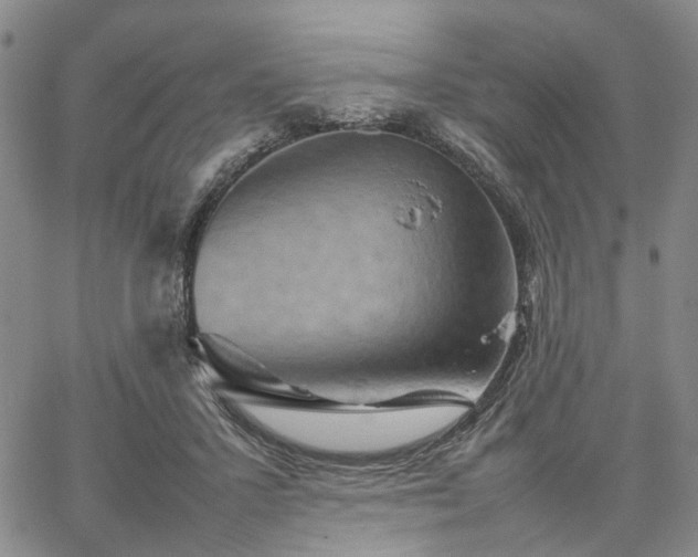 X0000067890407200604201314