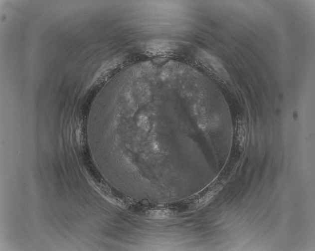 X0000067890408200604201314