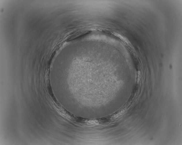 X0000067890409200604201314