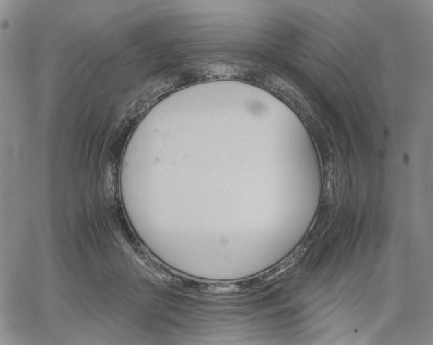 X0000067890410200604201314