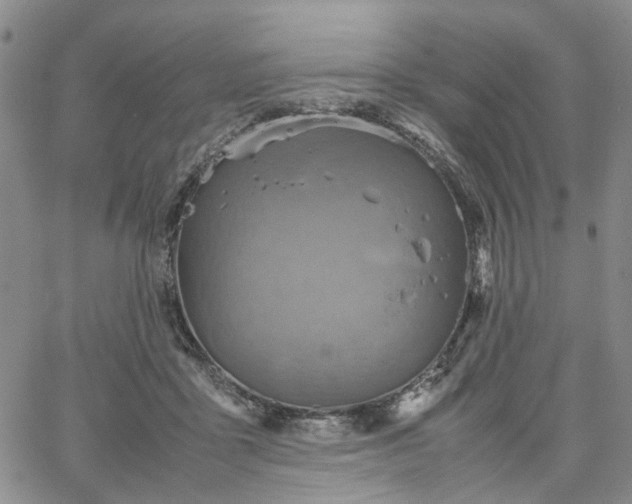 X0000067890411200604201314