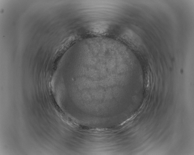 X0000067890412200604201314