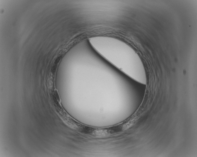 X0000067890413200604201314