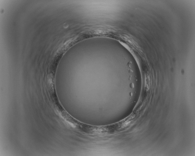 X0000067890415200604201314