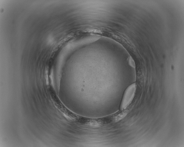 X0000067890416200604201314