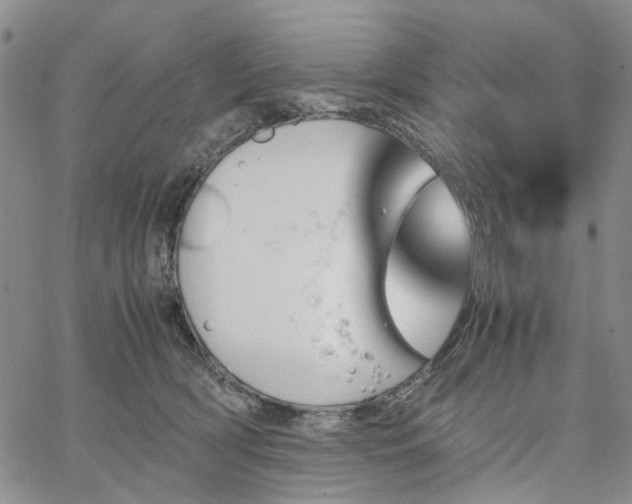 X0000067890418200604201314