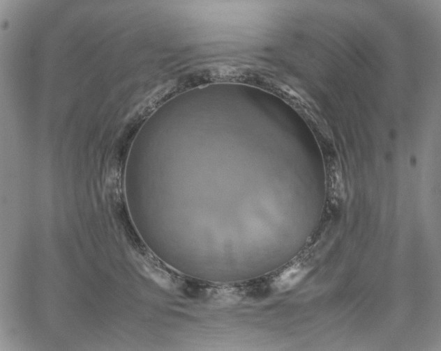 X0000067890419200604201314