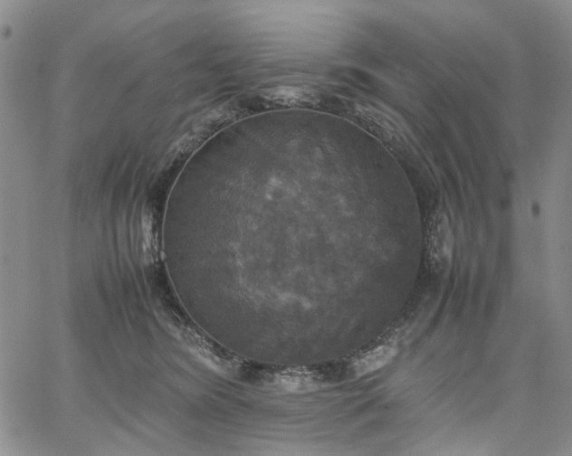 X0000067890420200604201314