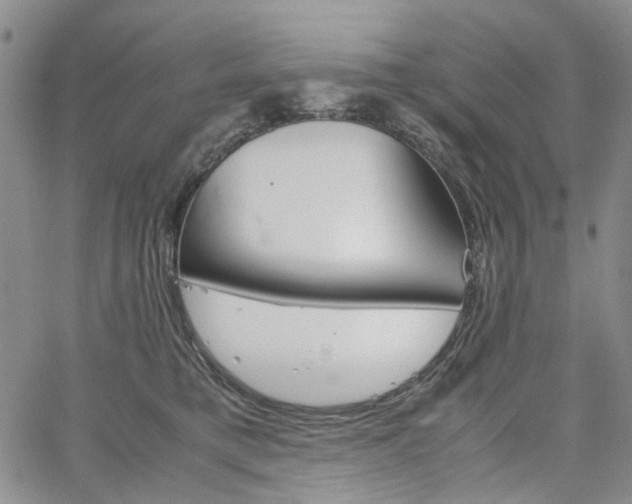 X0000067890421200604201314