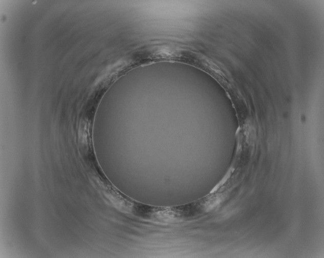 X0000067890423200604201314