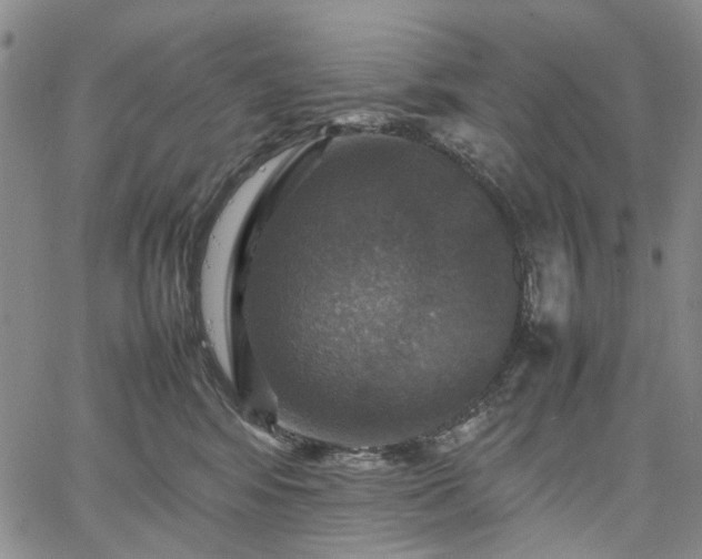 X0000067890424200604201314