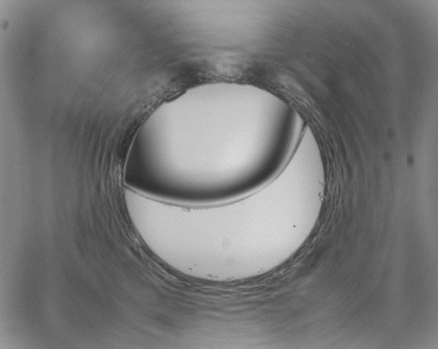 X0000067890425200604201314