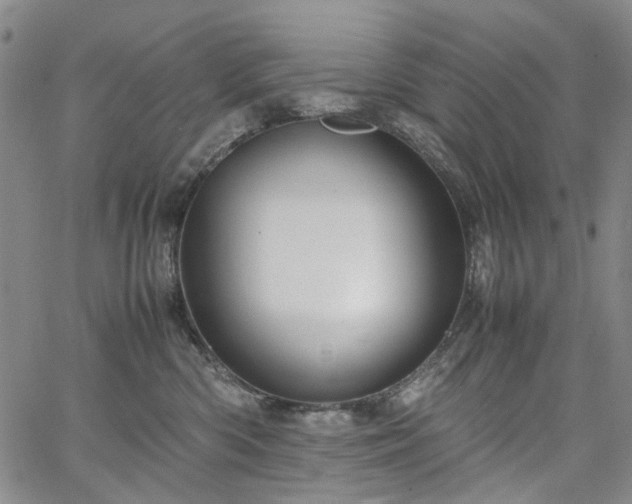 X0000067890426200604201314