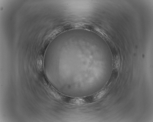 X0000067890427200604201314