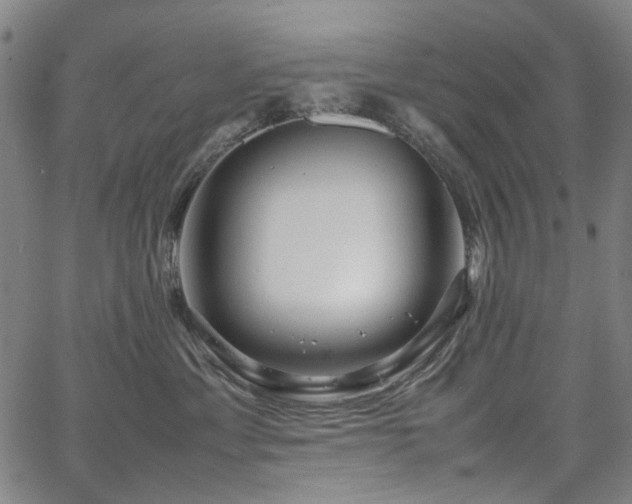 X0000067890429200604201314