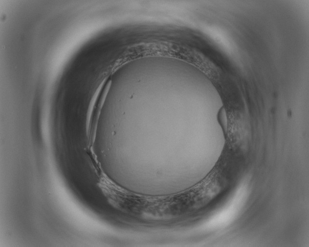 X0000067890431200604201314