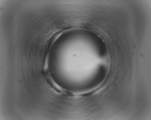 X0000067890432200604201314