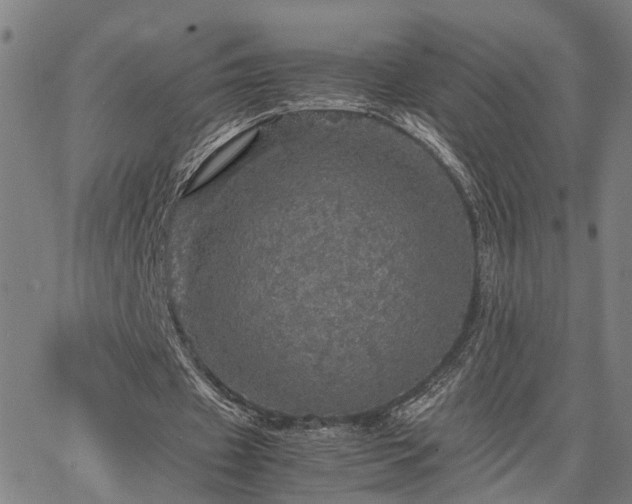 X0000067890433200604201313