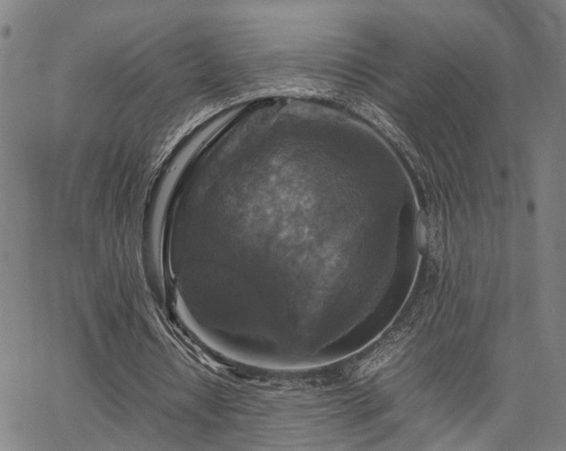 X0000067890434200604201313