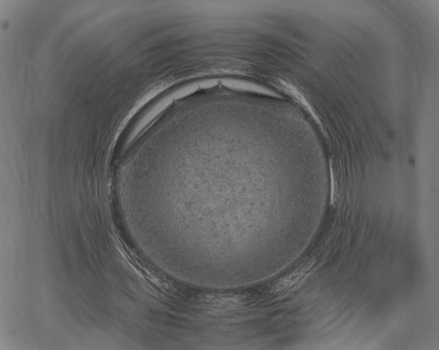 X0000067890435200604201313