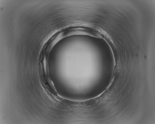 X0000067890436200604201313