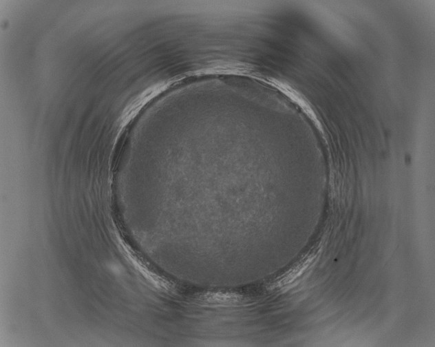 X0000067890437200604201313