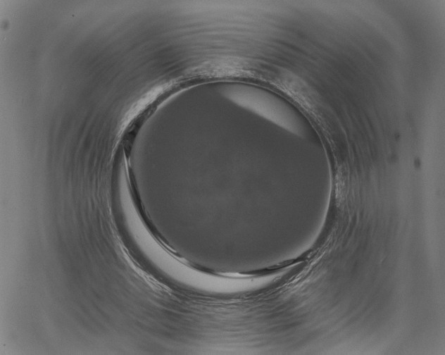 X0000067890438200604201313