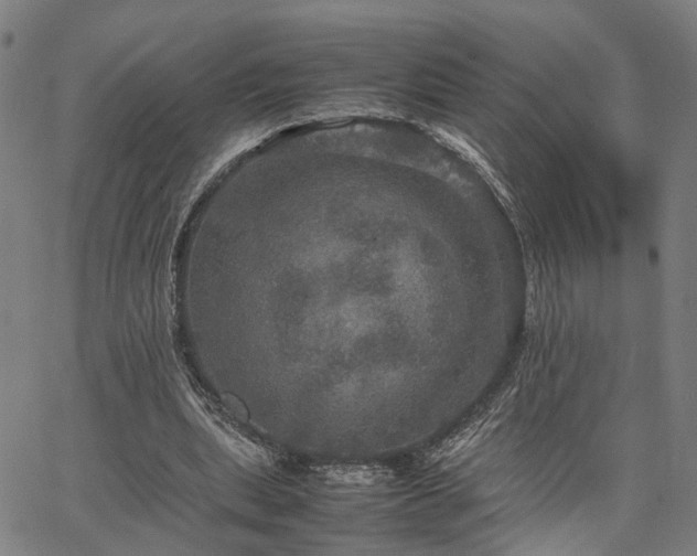 X0000067890439200604201313